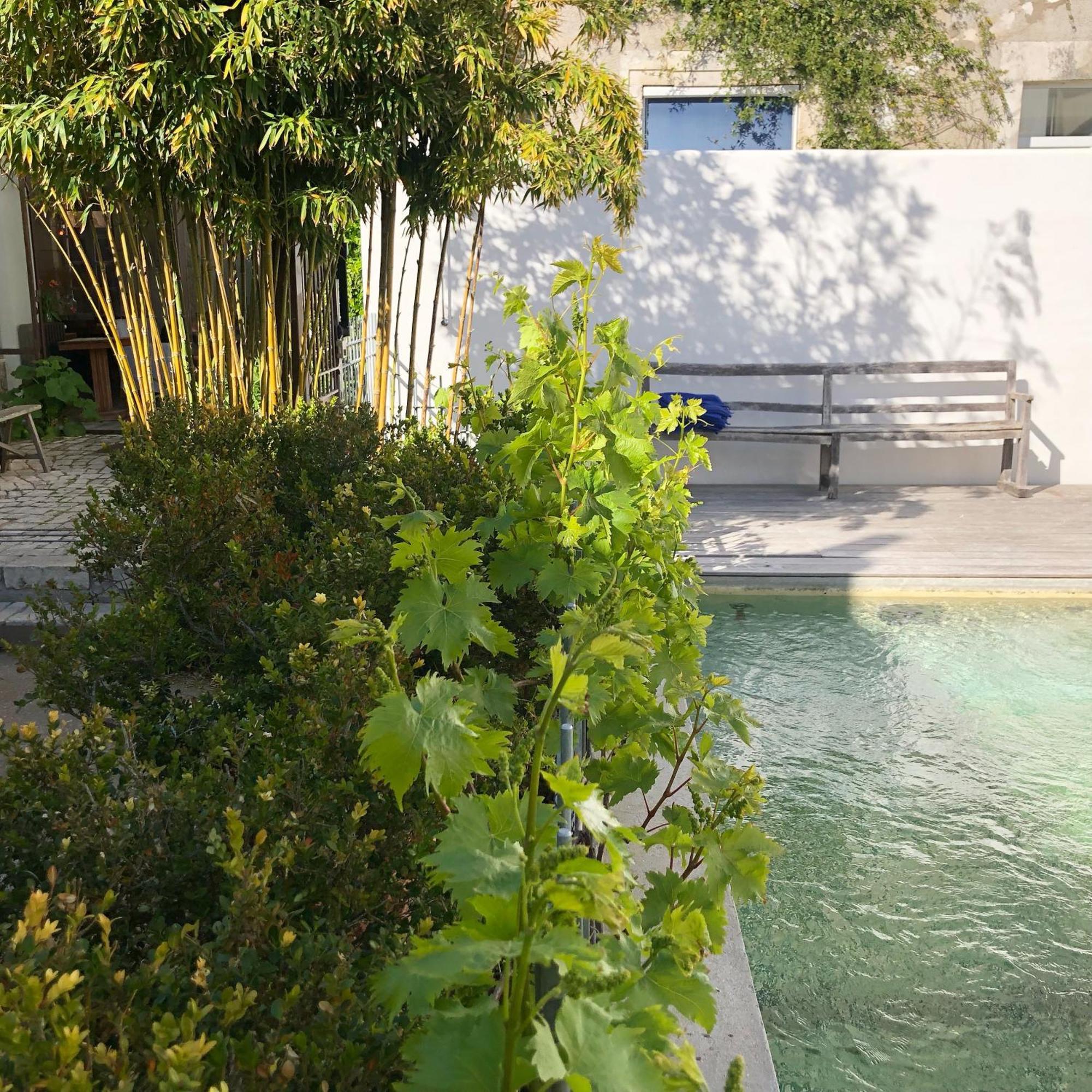Hotel Le Senechal Ars-en-Ré Εξωτερικό φωτογραφία
